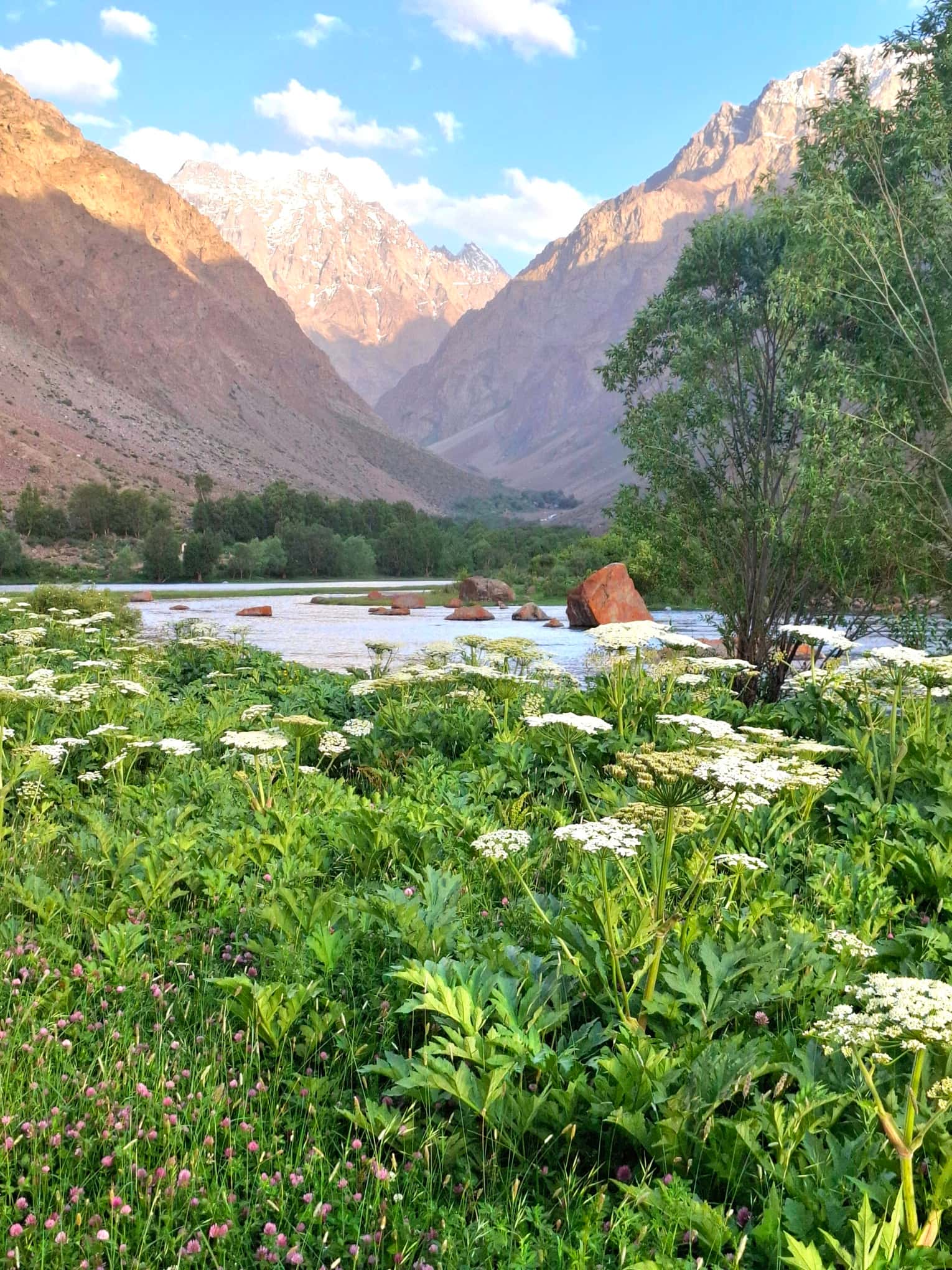 Portrait de cliente NaturaSoins en extérieur
