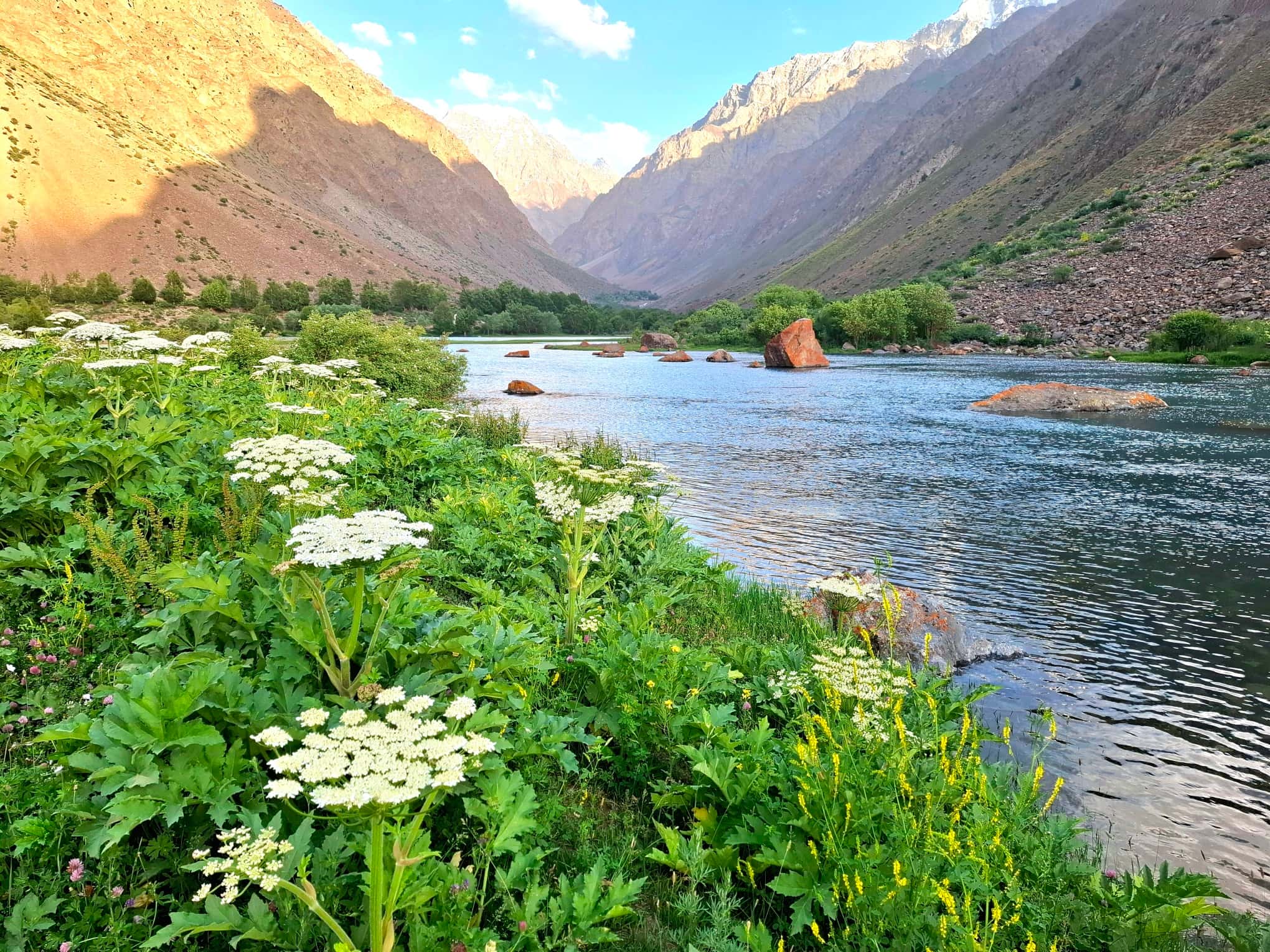 Portrait de cliente NaturaSoins apaisée