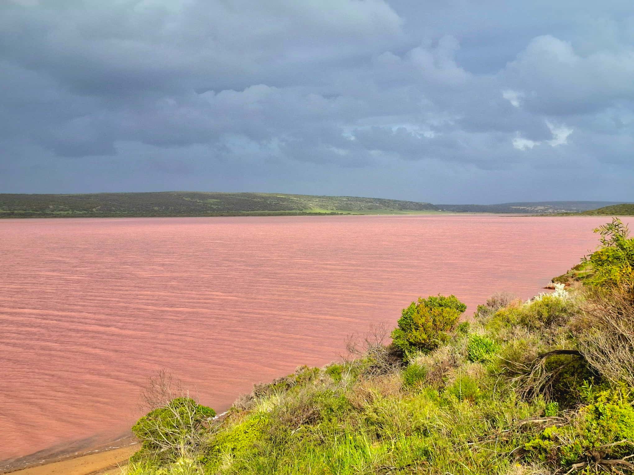 Portrait de cliente satisfaite NaturaSoins